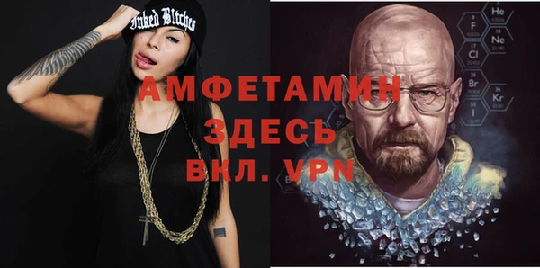 сатива Вяземский