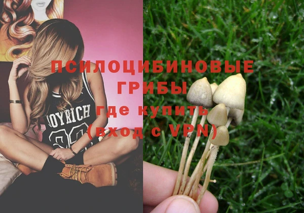 дурь Горнозаводск
