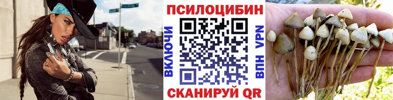 Галлюциногенные грибы Psilocybe  Купить  Кировград 
